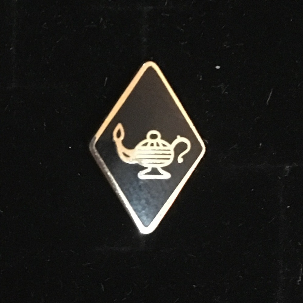 Delta zeta pin
